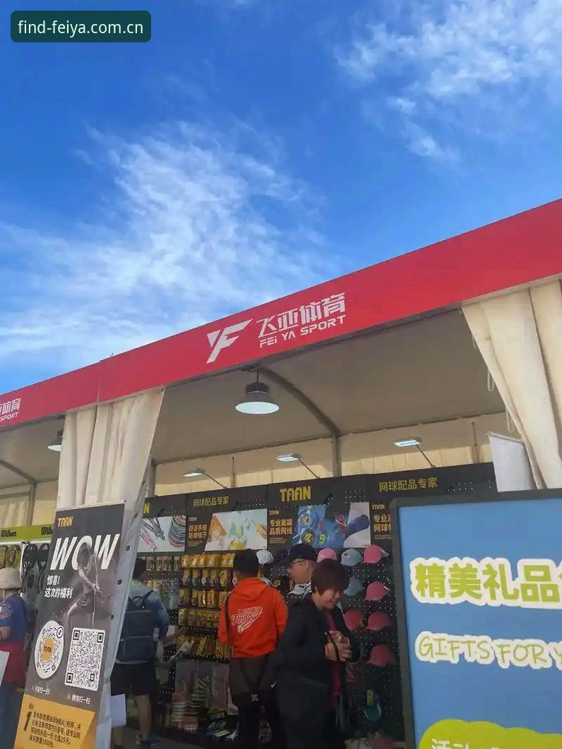 飞亚体育平台深度评测：FEIYA正版网址入口与使用体验全面分析